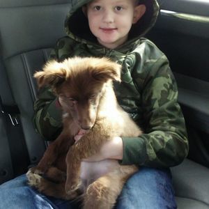 Meet your Posher, Daniel